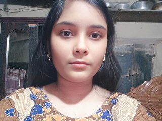 AniBd free
